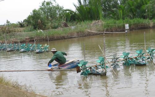 Tiền Giang nuôi thủy sản xuất khẩu vùng ven biển 